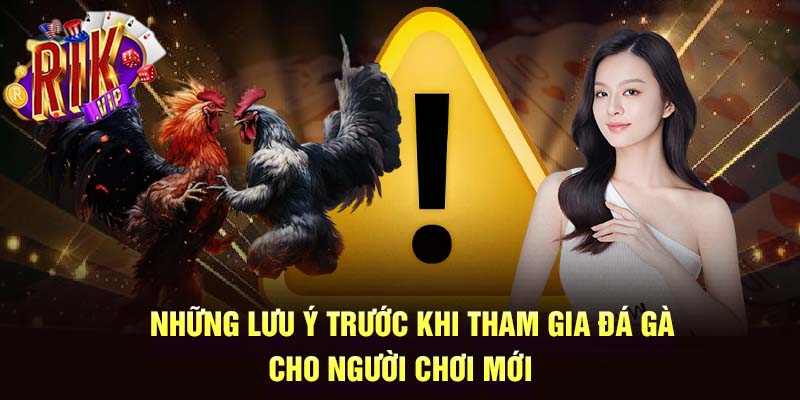 Những lưu ý trước khi tham gia đá gà cho người chơi mới