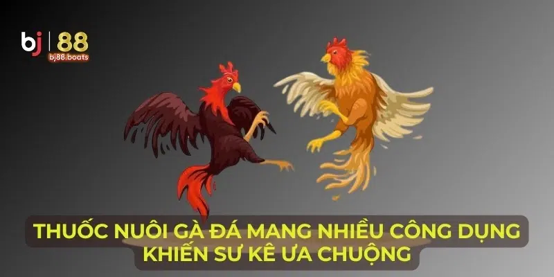 Thuốc nuôi gà đá mang nhiều công dụng khiến sư kê ưa chuộng