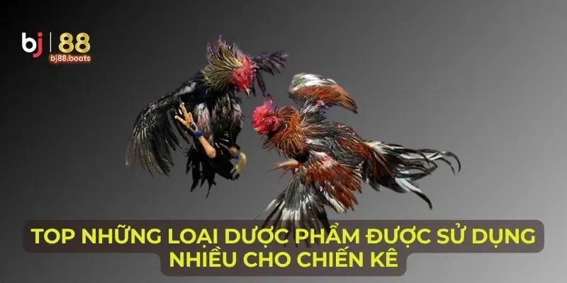 Top những loại dược phẩm được sử dụng nhiều cho chiến kê